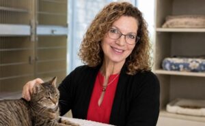 donna-sicuranza-biography
